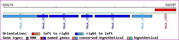 gene map