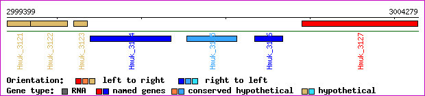 gene map