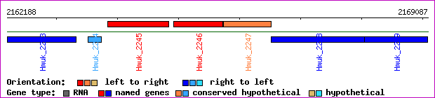 gene map