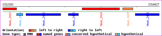 gene map