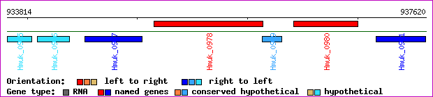 gene map