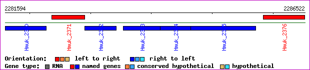 gene map