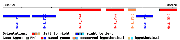 gene map