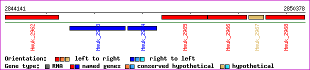 gene map