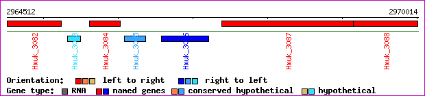 gene map