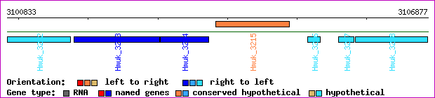 gene map