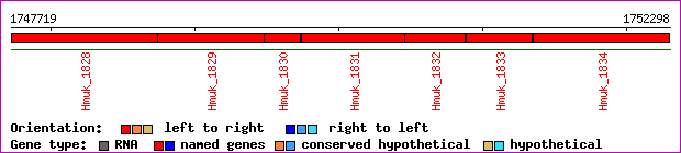 gene map