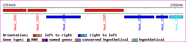 gene map