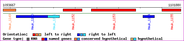 gene map
