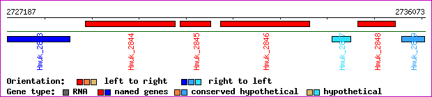 gene map