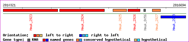 gene map