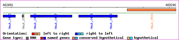 gene map