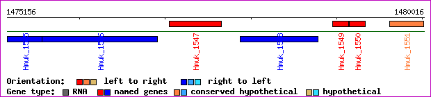 gene map