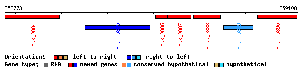 gene map