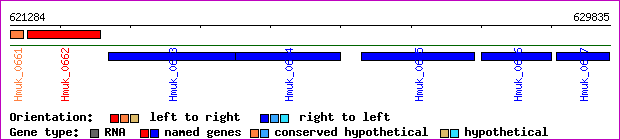 gene map