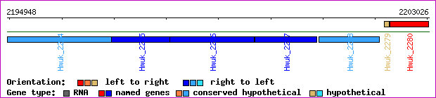 gene map