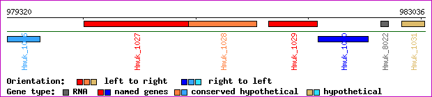 gene map