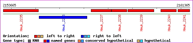 gene map