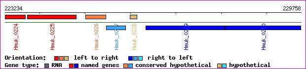 gene map
