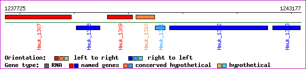 gene map