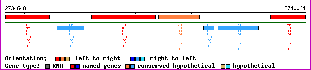 gene map