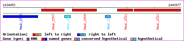 gene map