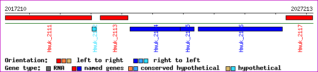 gene map