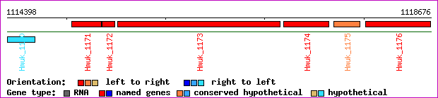 gene map