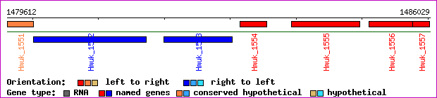 gene map