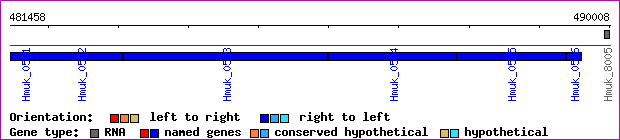 gene map