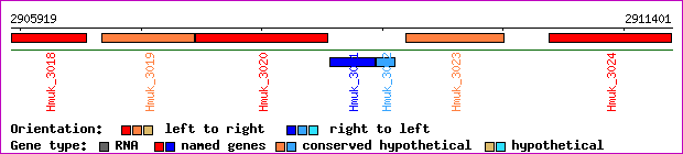 gene map