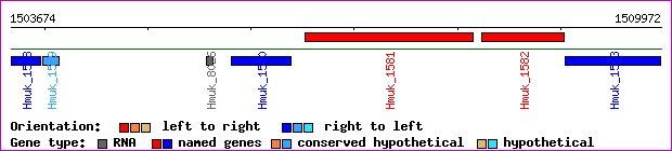 gene map