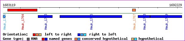 gene map