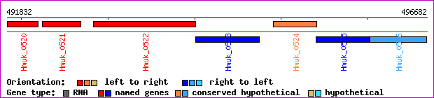 gene map
