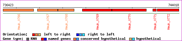 gene map