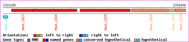 gene map