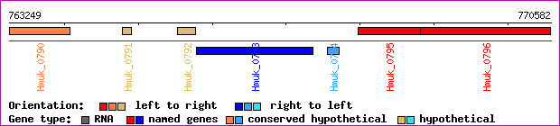 gene map