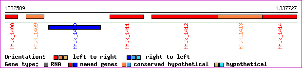 gene map