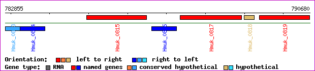 gene map