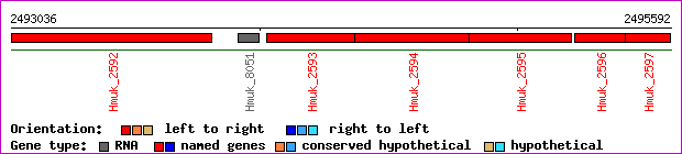 gene map