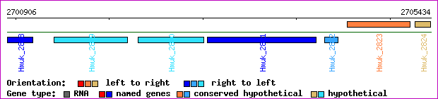 gene map
