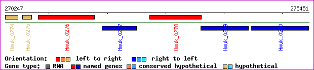 gene map