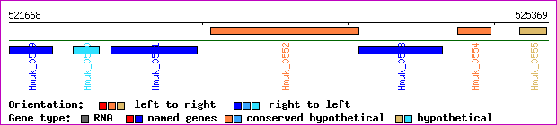 gene map