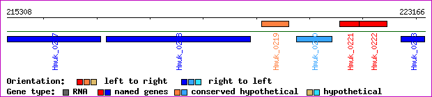 gene map