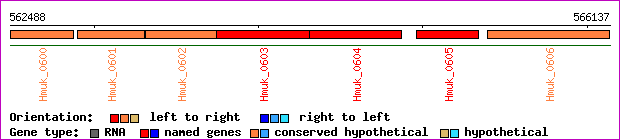 gene map