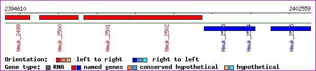 gene map