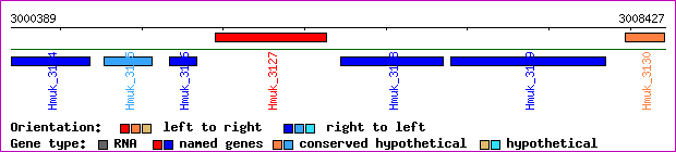 gene map