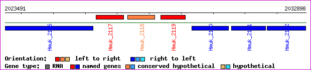 gene map