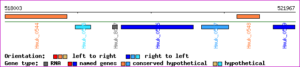 gene map