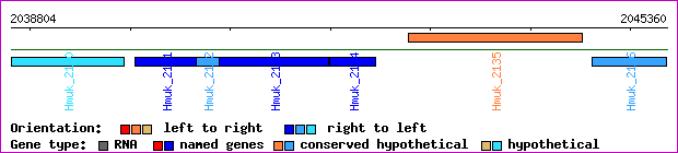 gene map